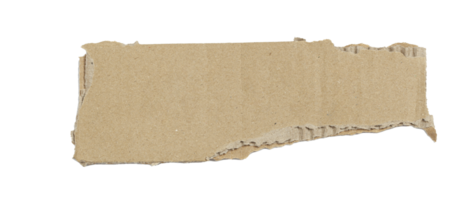 Kraft cardboard piece ripped edge. Isolated on a transparent background png