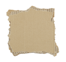 Kraft cardboard piece ripped edge. Isolated on a transparent background png