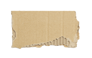 Kraft cardboard piece ripped edge. Isolated on a transparent background png