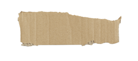 Kraft cardboard piece ripped edge. Isolated on a transparent background png