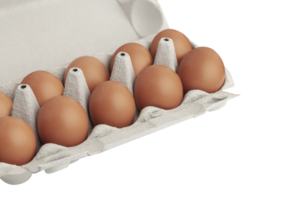 Open egg box with ten brown eggs isolated on a transparent background png