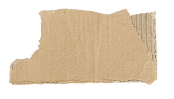 Kraft cardboard piece ripped edge. Isolated on a transparent background png