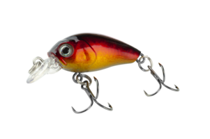 Wobbler isolated on a transparent background png