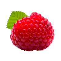 AI generated Close up photo of fresh and ripe raspberry without background png