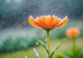 AI generated a pink flower surrounded by water droplets in a garden photo