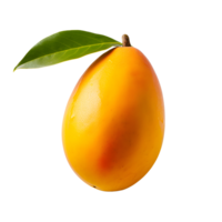 AI generated Close up photo of ripe and fresh mango without background png