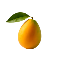 AI generated Close up photo of ripe and fresh mango without background png