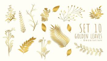 beautiful tropical golden leaves background in set vector