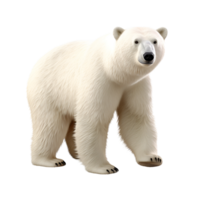 AI generated 3D Cartoon Polar Bear Logo Illustration No Background Perfect for Print on Demand png