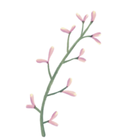 wild Blume auf ein Ast mit Blätter png