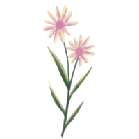 rose fleurs sur une transparent Contexte png