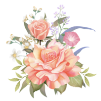 rose des roses et marguerites sur transparent Contexte png