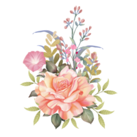 vattenfärg illustration av rosa reste sig, png, transparent bakgrund png