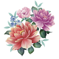 Botanical of flowers and leaf png