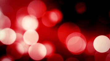 bellezza rosso bokeh video