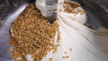 Dough is kneaded with raisins in mixer. Stock footage. Close-up of large amount of dough with raisins kneaded in production machine stirrer video