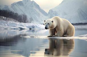 AI generated Polar bear on icy surface with water backdrop, bears and arctic wildlife photo