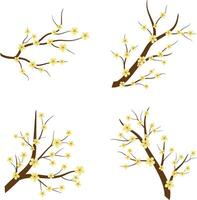 Set of Flower Lunar New Year Elements. Isolated On White Background vector