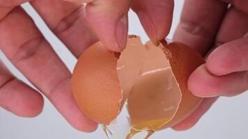 Broken egg in half eggshell is turning on white background. close up of egg yolk in eggshell video