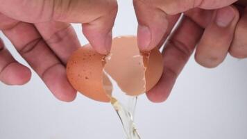 Broken egg in half eggshell is turning on white background. close up of egg yolk in eggshell video