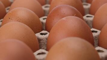 Raw chicken eggs in egg box close up. Eggs are in the panel. Fresh chicken eggs in a cardboard container in the kitchen. video