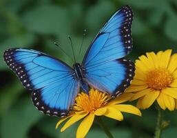 AI generated Swallowtail butterfly on flower and water. photo