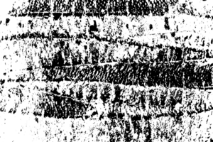 Rustic grunge texture with grain and stains. Abstract noise background. PNG graphic illustration with transparent background.