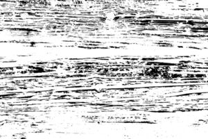 rustik grunge textur med spannmål och fläckar. abstrakt ljud bakgrund. png grafisk illustration med transparent bakgrund.