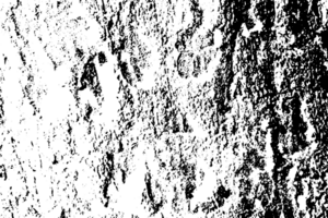 Rustic grunge texture with grain and stains. Abstract noise background. PNG graphic illustration with transparent background.