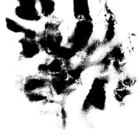 rustikal Grunge Textur mit Korn und Flecken. abstrakt Lärm Hintergrund. png Grafik Illustration mit transparent Hintergrund.