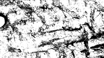 Rustic grunge texture with grain and stains. Abstract noise background. PNG graphic illustration with transparent background.