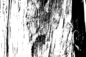 rustik grunge textur med spannmål och fläckar. abstrakt ljud bakgrund. png grafisk illustration med transparent bakgrund.