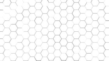 animated Hexagonal 3d video