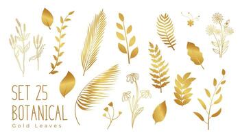 collection of isolated golden leaves on white banner vector