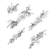 Vector graphics set drawing plants