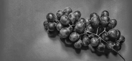 Black and white photo with an abstract photo concept for the background, Portrait a sprig of grapes or vitis vinifera. Negative space