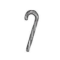 A simple sleek line drawn illustration of a candy cane. Drawn by hand on Procreate.  A classic festive treat. vector