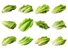 AI generated romaine lettuce collection isolated on white background. photo