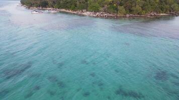 aérien vue de tanjung kélam plage dans karimunjawa îles, Jepara, Indonésie. éloigné île, corail récifs, blanc le sable des plages. video