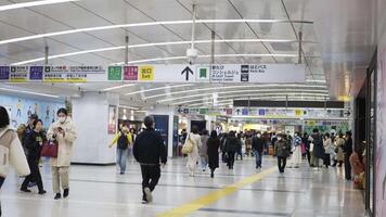 Tokyo, Japon - décembre 18 , 2023 banlieusard foule en marchant à video