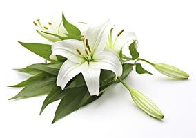 AI generated Beautiful fresh lily flower with green leaves, isolated on white background. AI Generated photo