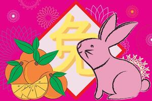 Illustration Chinese carector of rabbit with orange of the new year sing on pink background. vector