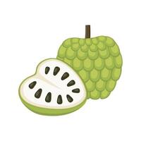 Custard apple set design with isolated whole and cut tropical fruit annona reticulata. Green sugar apple in flat detailed vector style for packaging, designs, decorative elements