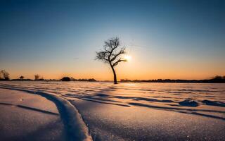 ai generado etéreo invierno mundo maravilloso, un majestuoso puesta de sol manta nieve en dorado matices foto