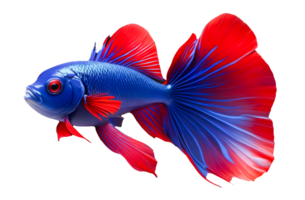 AI generated Beautiful Siamese fighting fish swimming.generate ai png