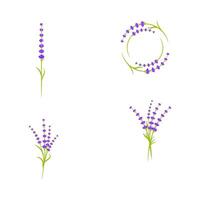 Lavender flower Vector icon illustration