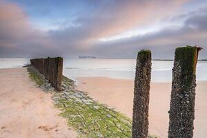 Coast of Breskens during sunrise, Zeeland, The Netherlands. photo