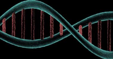 DNA Kette im horizontal rotierend auf schwarz Hintergrund video