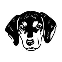 Austrian black and tan hound vector sketch