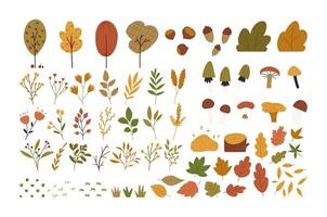 Set of autumn botany elements in cute hand drawn flat style, isolated on white background. Fall season nature - trees, leaves, mushrooms and flowers. vector